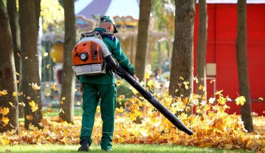 Best backpack leaf blower review