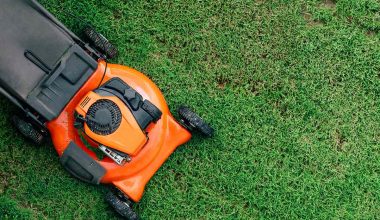The best self propelled mowers review