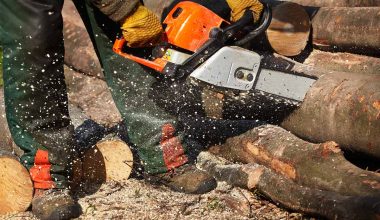 best chainsaw chaps