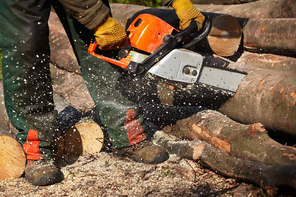 Protective Chainsaw Pants | Arborist Pants | Tree Climbing Gear