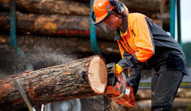 best professional chainsaw