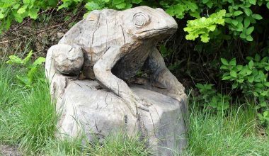 chainsaw carving