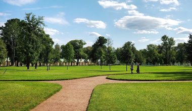 History of the lawn mower