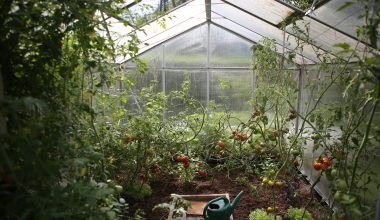how to water your greenhouse
