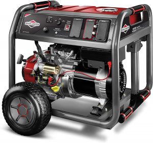 Briggs Stratton 30664 8000W Generator