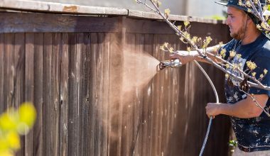 best airless paint sprayer