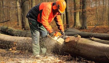 best chainsaw