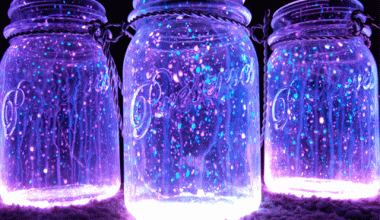 firefly jars