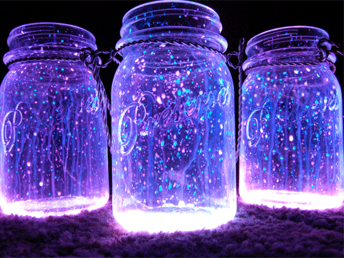 firefly jars