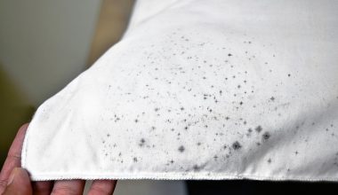 how to remove mold from clothes