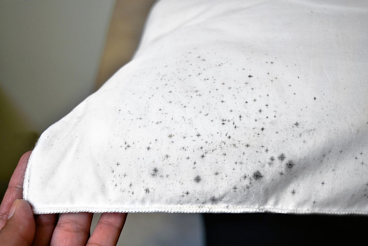 how to remove mold from clothes