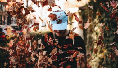 How to build a DIY leaf composter