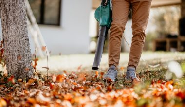 Best Cordless Leaf Blower