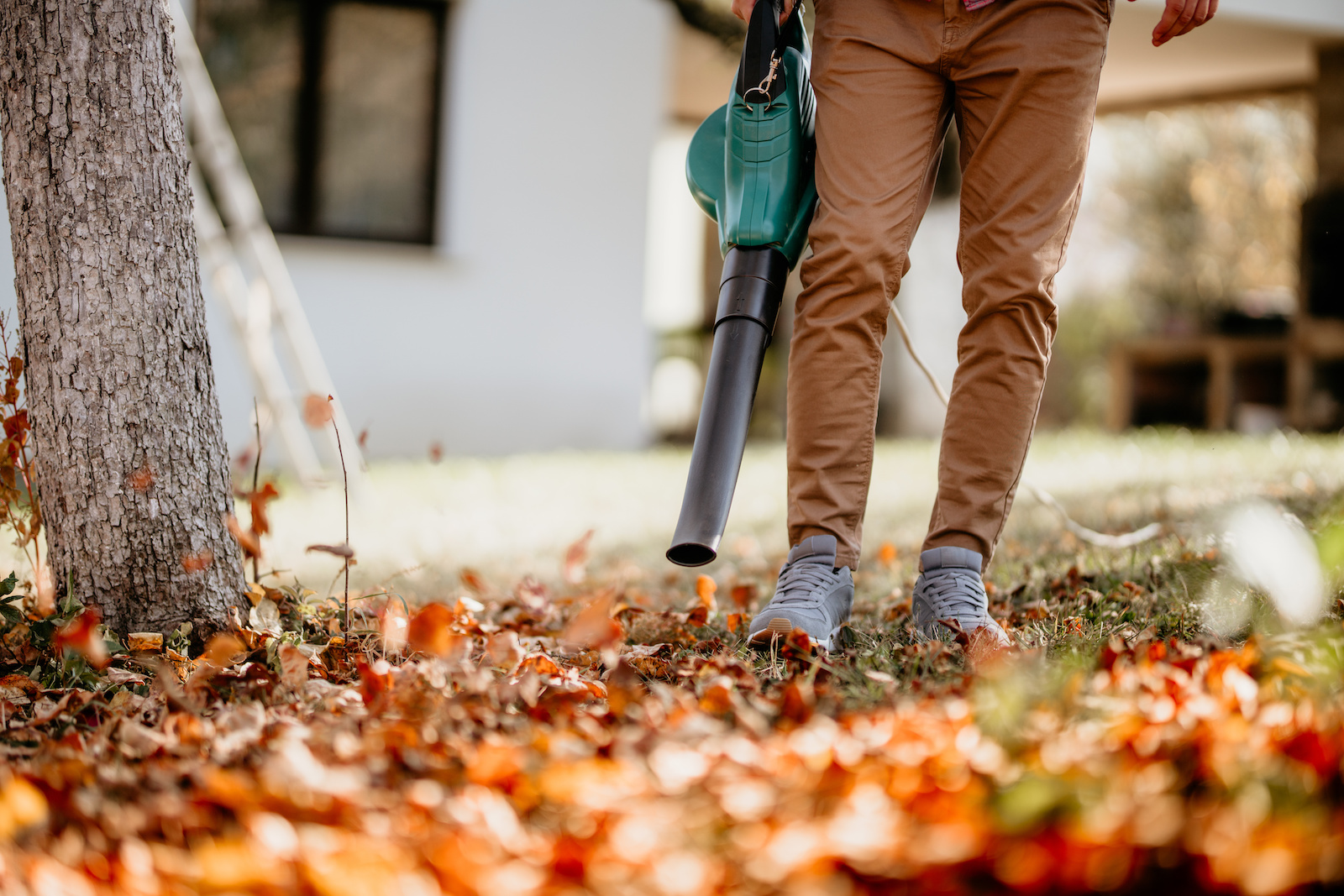 Best Cordless Leaf Blower 2021 Buyers Guide