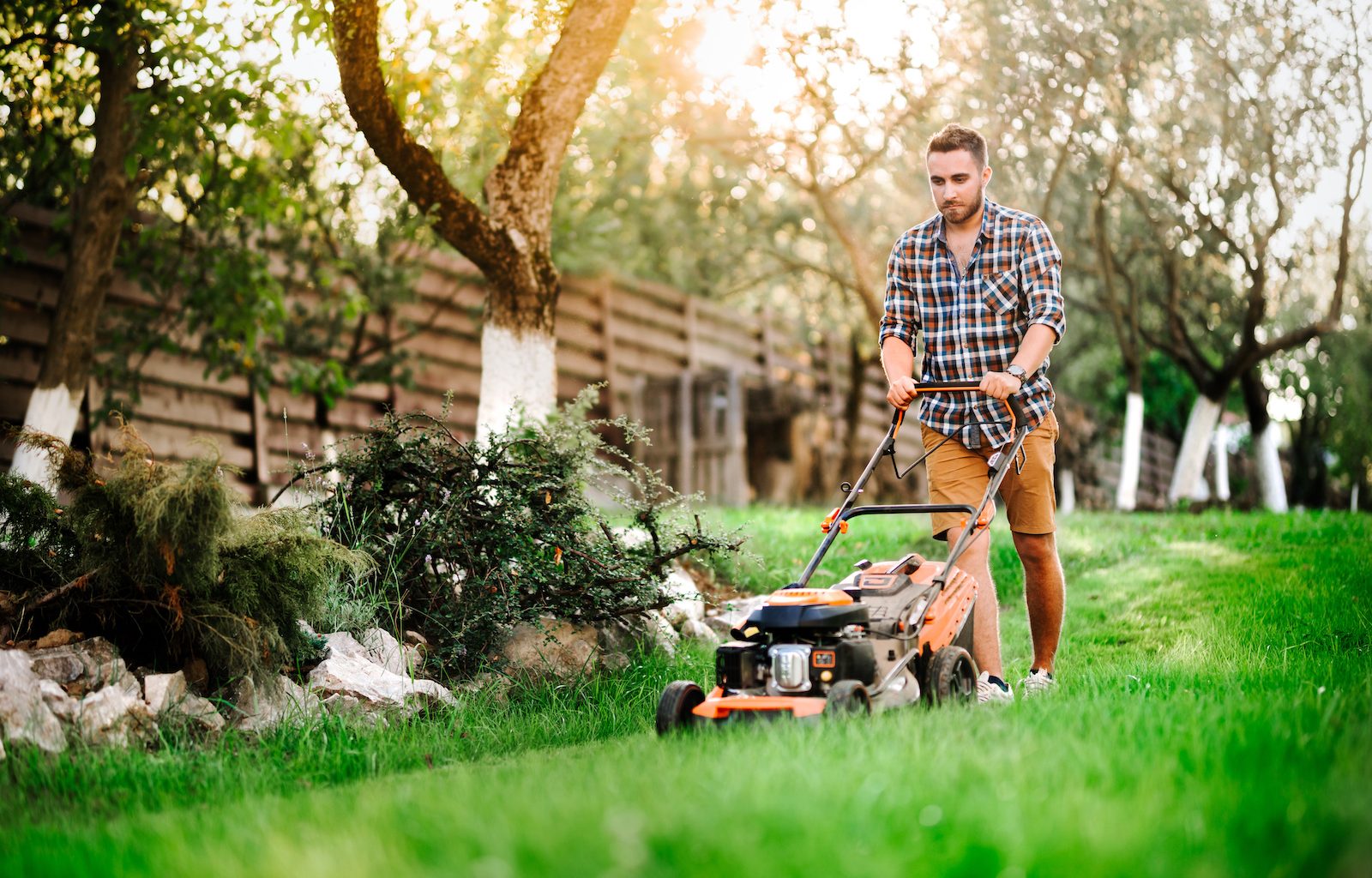 Is mowing the lawn a good workout?