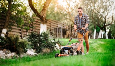 Is mowing the lawn a good workout?