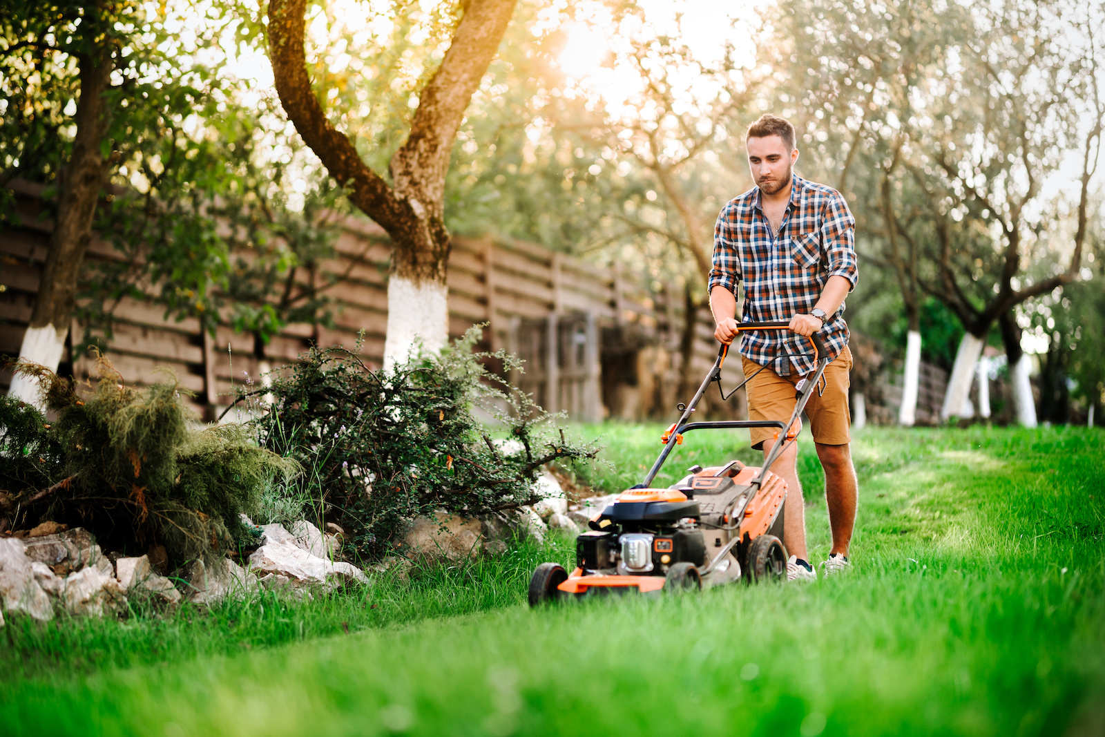 Is Mowing The Lawn A Good Workout?