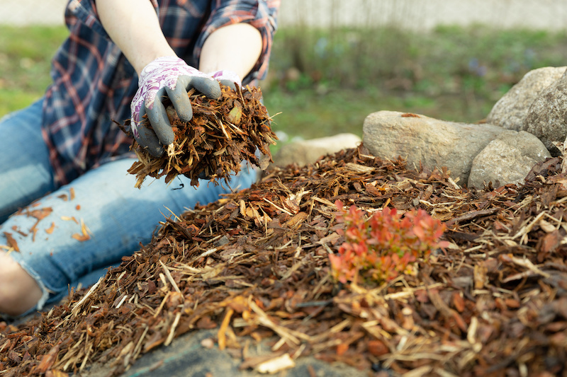 Mulch is great for your garden