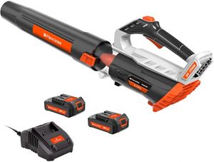 PAXCESS 20V Cordless Leaf Blower