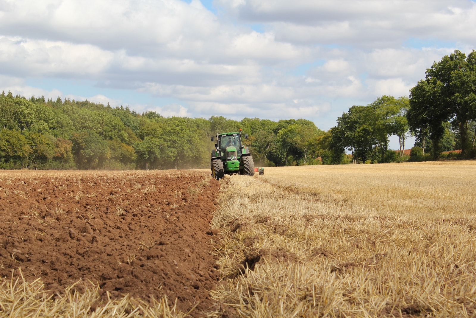 The Difference Between Agriculture And Horticulture | Workshopedia