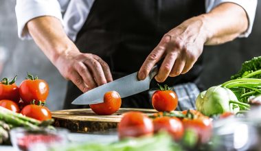 Best Electric Knife Sharpener
