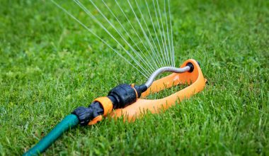 Best Law Sprinkler Review