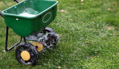 Best Fertilizer Spreader