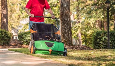 Best Lawn Sweeper