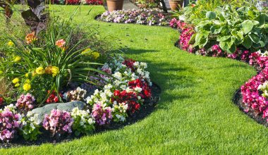 Get Your Garden Ready for Spring