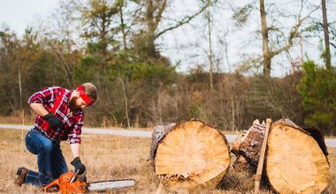 Everything you need to know about the cost of cutting down a tree